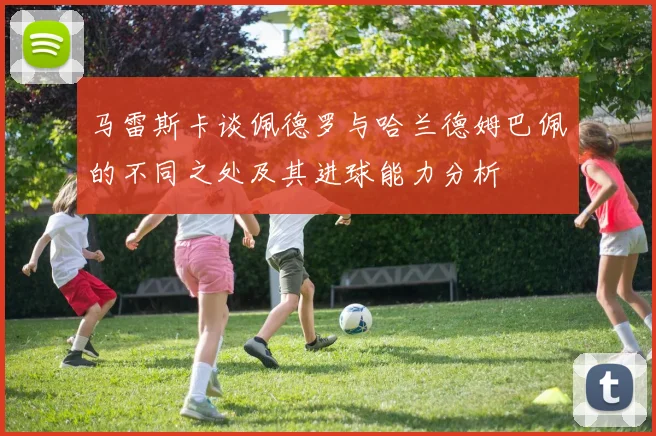 马雷斯卡谈佩德罗与哈兰德姆巴佩的不同之处及其进球能力分析