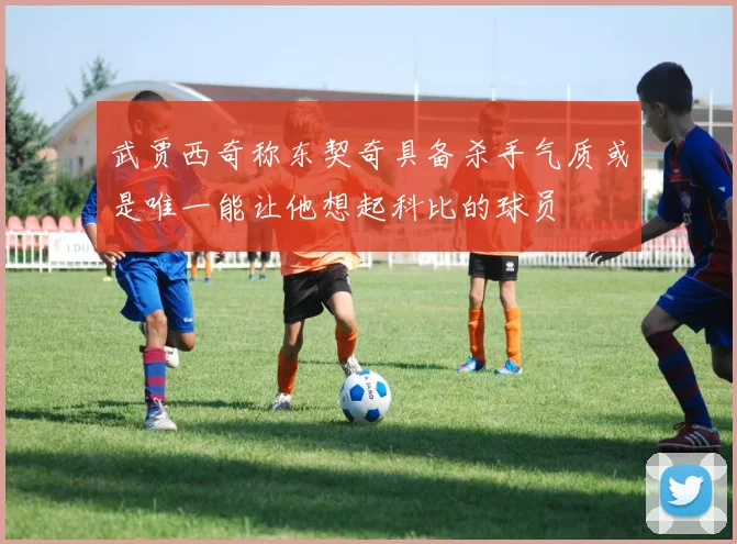 武贾西奇称东契奇具备杀手气质或是唯一能让他想起科比的球员