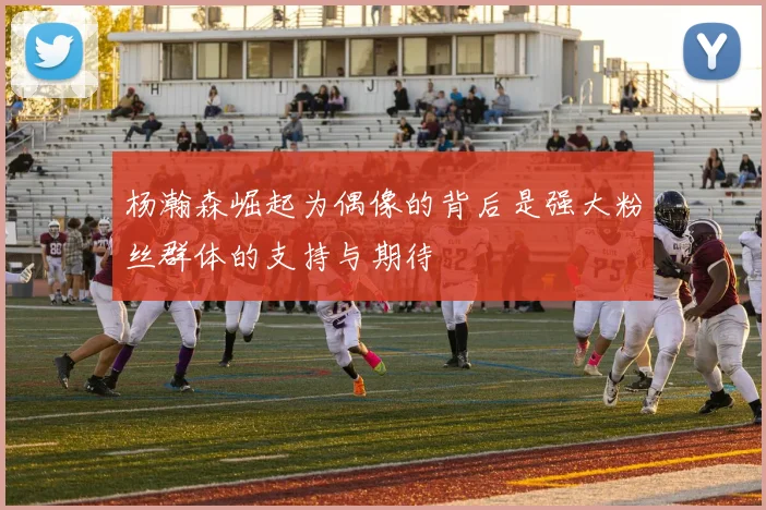 杨瀚森崛起为偶像的背后是强大粉丝群体的支持与期待