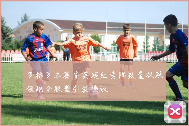 罗梅罗本赛季英超红黄牌数量双冠领跑全联盟引发热议