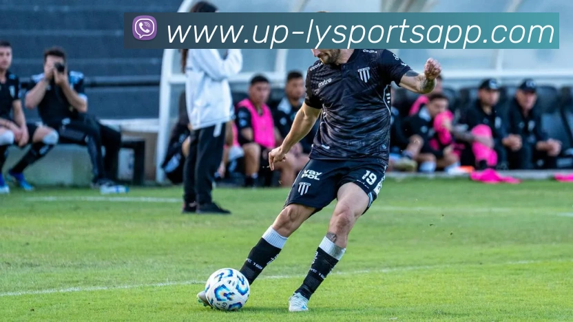 乐鱼体育平台生态图