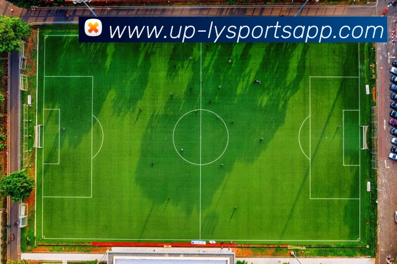 乐鱼体育APP 封面图